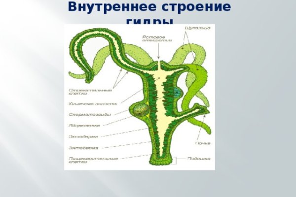 Кракен сайт наркотиков