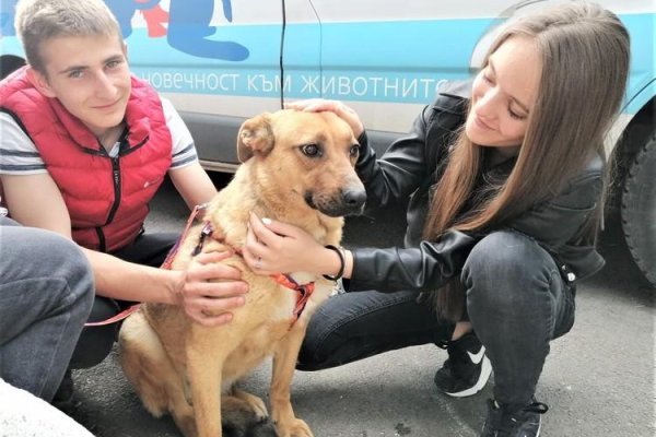 Кракен сайт наркотиков